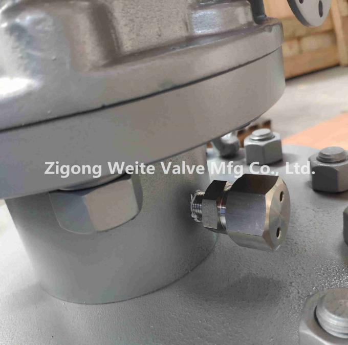 DEVLON Seat Pigging Ball Valve Top Entry Easy Open And Close Port Cover